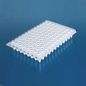 Product image for 781367