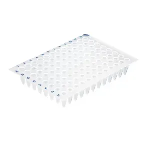 Product image for 781368