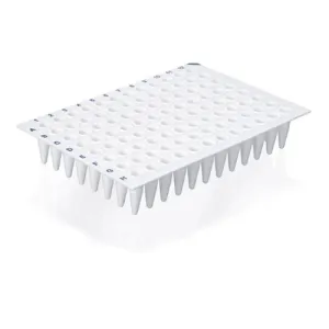 Product image for 781369