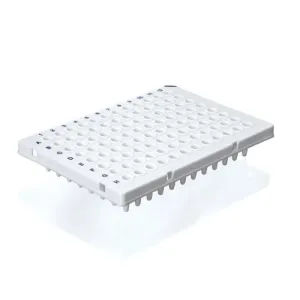 Product image for 781376