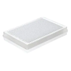 Product image for 781538