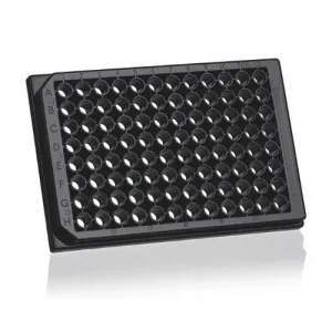 Product image for 781611