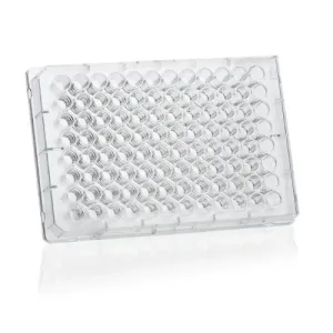 Product image for 781662