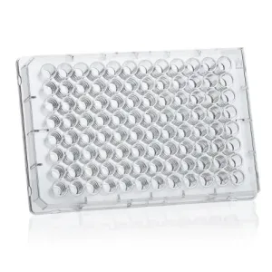 Product image for 781663