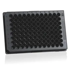 Product image for 781668