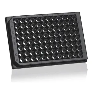 Product image for 781671