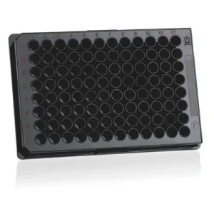 Product image for 781968