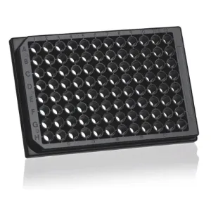 Product image for 782031