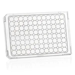 Product image for 782150