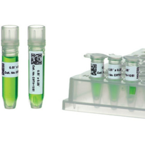 Diversified Biotech HEACRTH-3081 TT Cryo-Babies Cryogenic Labels Formatted for Thermal Transfer Printers, 0.81 x 0.28"