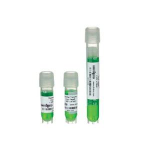 Diversified Biotech HEACRTH-3100 TT Cryo-Tags Cryogenic Labels Formatted for Thermal Transfer Printers, 1.375 x 0.625"