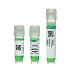 Diversified Biotech HEACRTH-3150 TT Cryo-Tags Cryogenic Labels Formatted for Thermal Transfer Printers, 1.50 x 0.75"