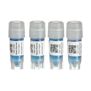 Product image for HEADTCR-2000