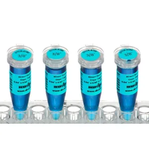 Product image for HEADTCR-6100-B