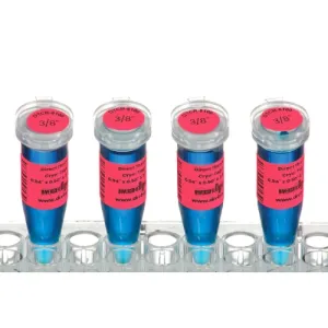 Product image for HEADTCR-6100-R