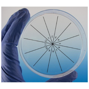 Diversified Biotech HEAPSTK-2000 PetriStickers Label for Petri Dish, Clear, 6-Sector Pie