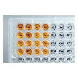 Product image for HEAWEST-1000
