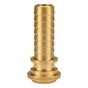Product image for BGB11