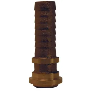 Product image for BGB6