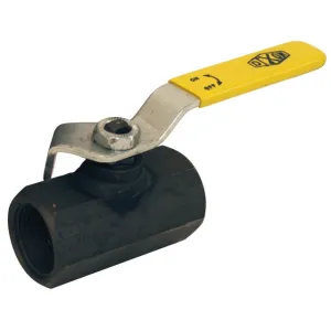 Product image for IBV75