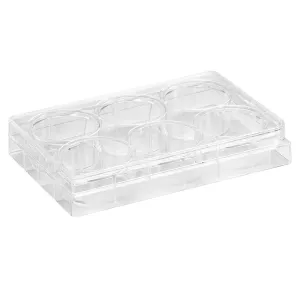 Product image for CL-P006