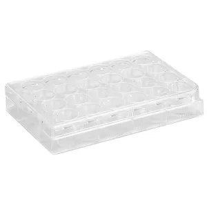 Product image for CL-P024