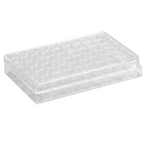 Product image for CL-P048