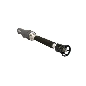 Product image for 1924