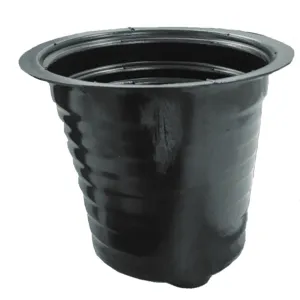 Product image for 9031