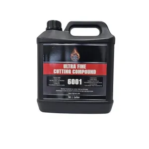 Product image for 6001