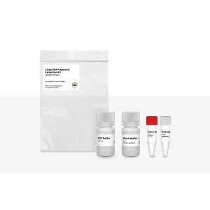Product image for IB47070