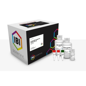 IBI Scientific IB47071 Large DNA Fragment Extraction Kit (100 Preps)
