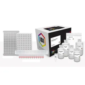 Product image for IB47154