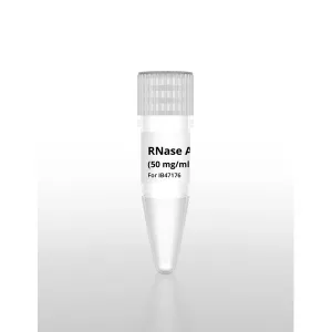 Product image for IB47163