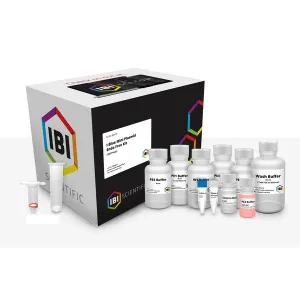 Product image for IB47176