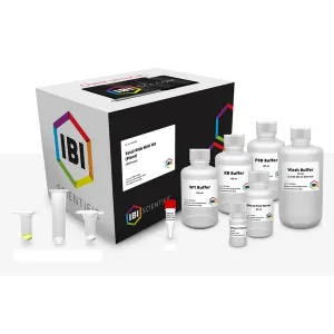 Product image for IB47343