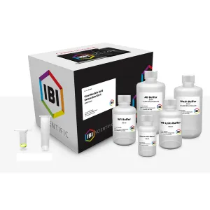IBI Scientific IB47403 Viral Nucleic Acid Extraction Kit (300 Preps)