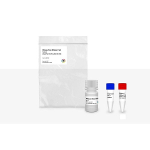 IBI Scientific IB47452 RNase-Free DNase I Set - 1.65 mL