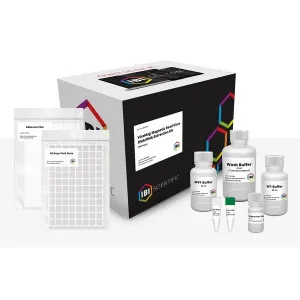 Product image for IB47462