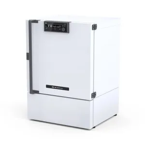 Product image for 0020126187