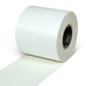 INCOM SG4206PH Gator Grip Photoluminescent GLOW Anti-Slip Grit Tape, 6" x 60'