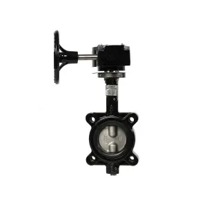 Product image for 600-10DSCG