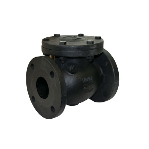 Jomar 105-725 2-1/2" Cast Iron Swing Check, Flanged Connection, Class 125