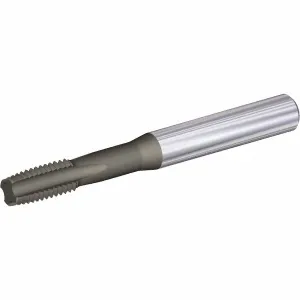 Product image for 5551038