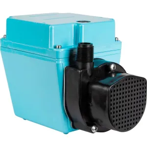 Product image for 504216