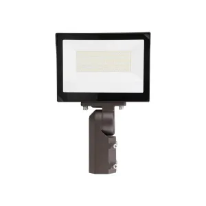 Product image for FLLS-100T150W-3CCT-DV2-PC-BZAM