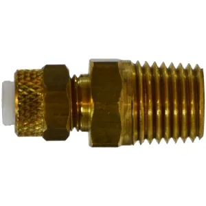 Product image for 20276
