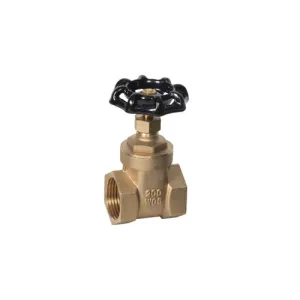 Product image for BGV-50