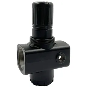 Midwest Control MCR17-100 1" 480 SCFM Relieving Regulator 5-125 PSI