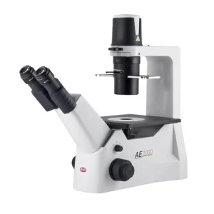 Product image for 1100103800222